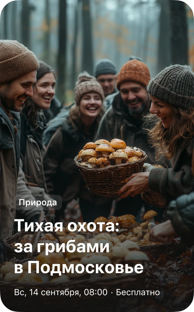 Природа — тихая охота: за грибами в Подмосковье